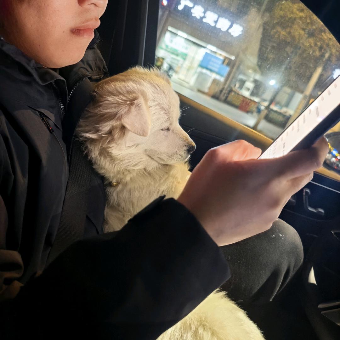小乖ღ³