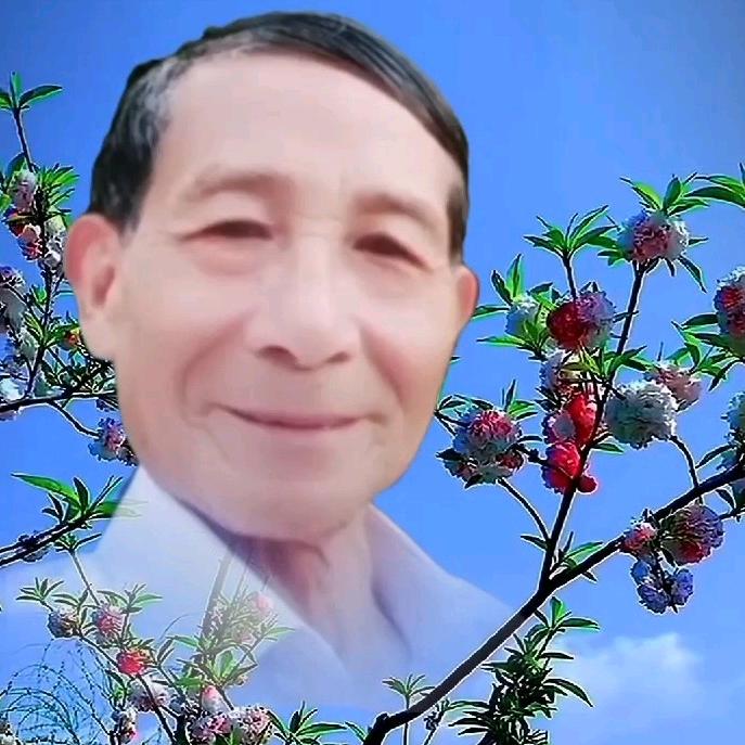 和谐