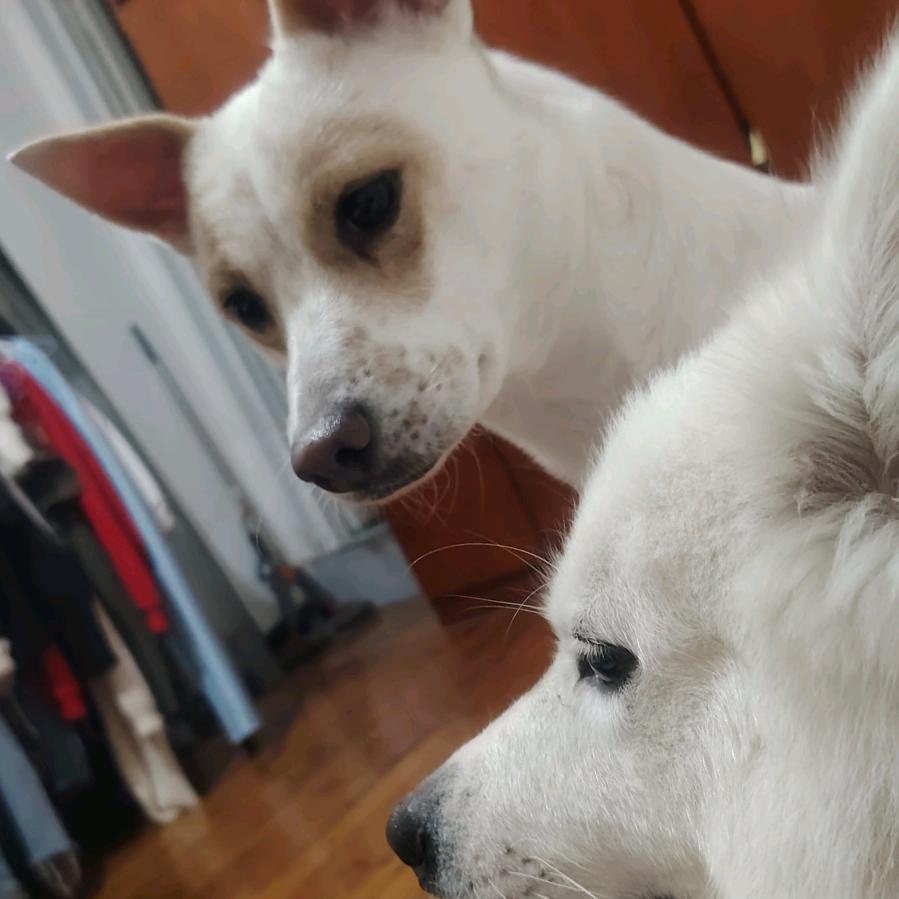 天真