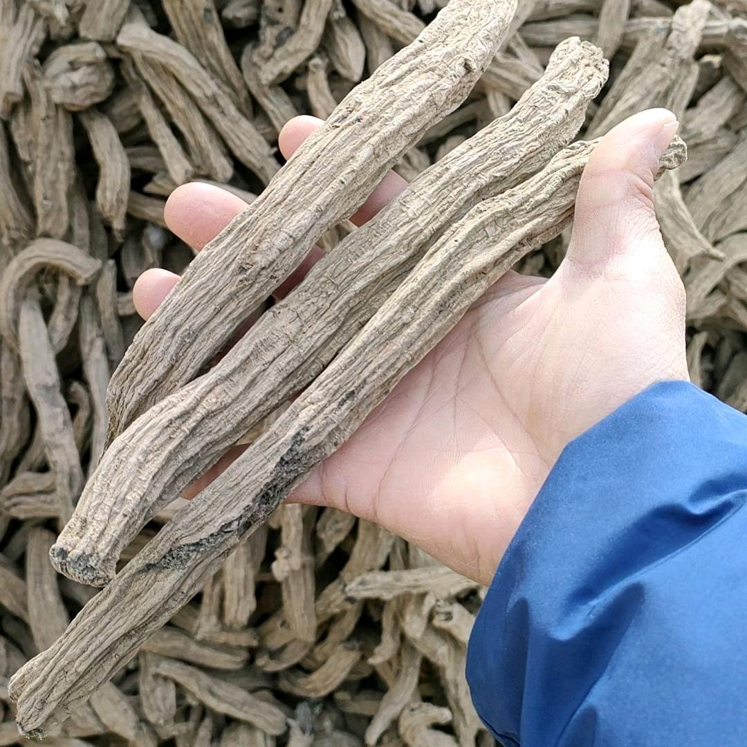 亳州道地药材～孙明宇