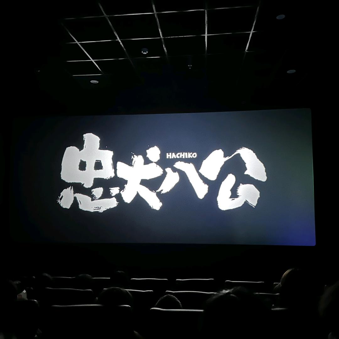 心随你动