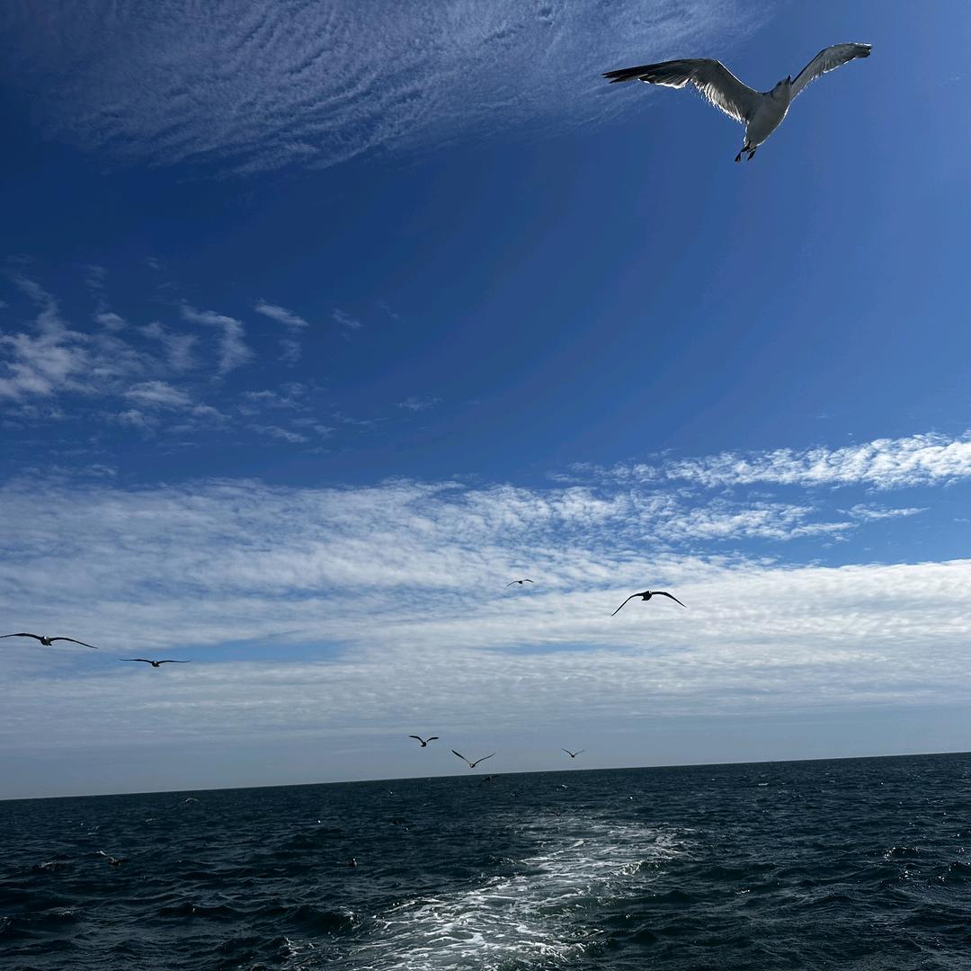 🌈爱瓶子tt🏂🎣