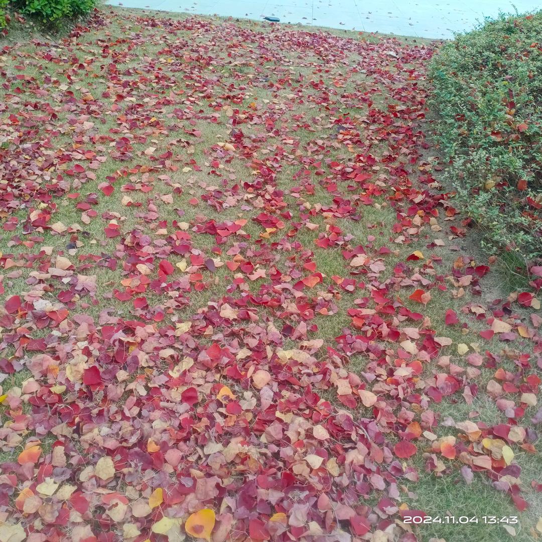 用户8986121898686善待自己