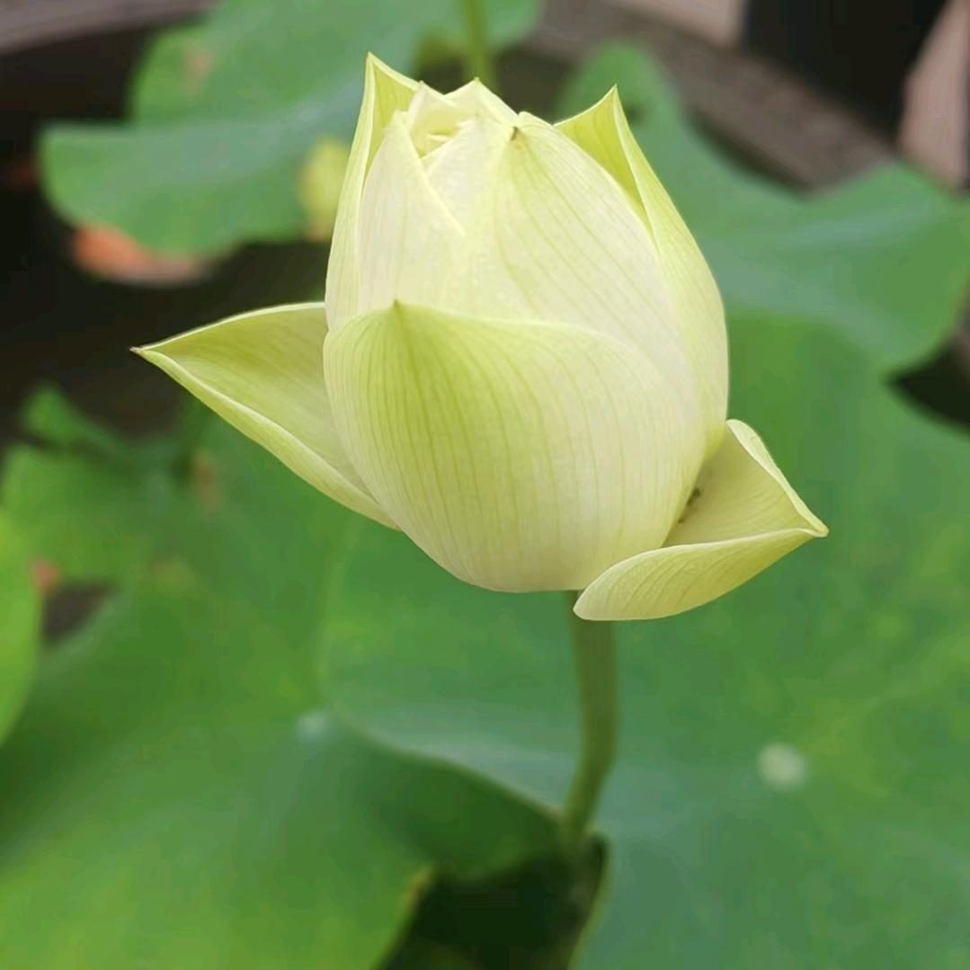 广结善缘