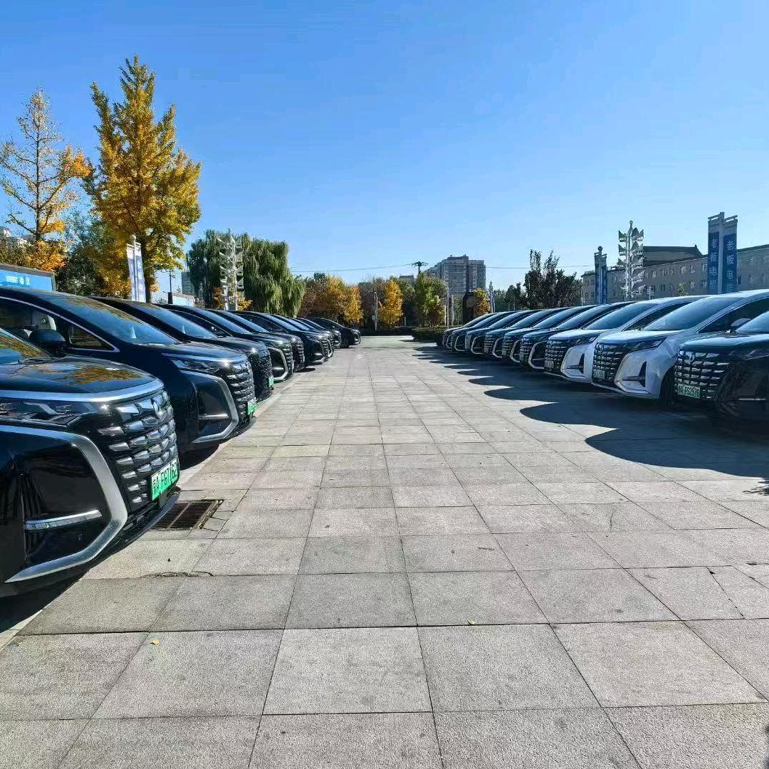 北京商务包车（腾势D9）