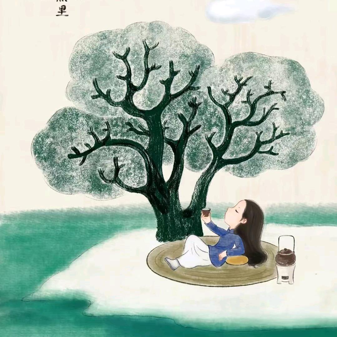 🌳风吹半夏🍁