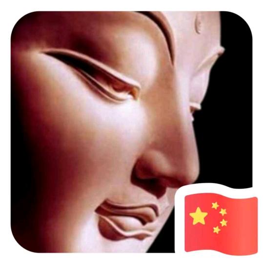 七哥