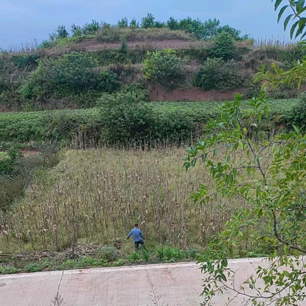 没有名字的乡村人