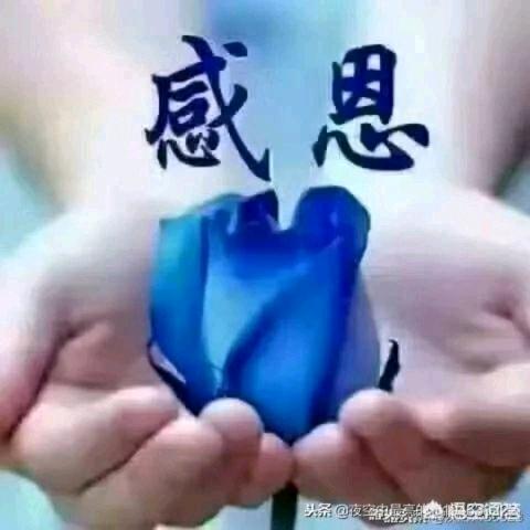 田友良cium