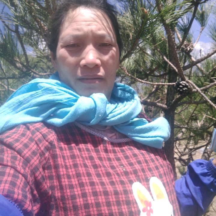 茹云