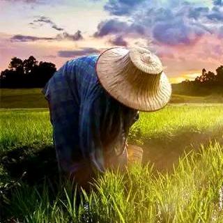 秦农特产优品铺