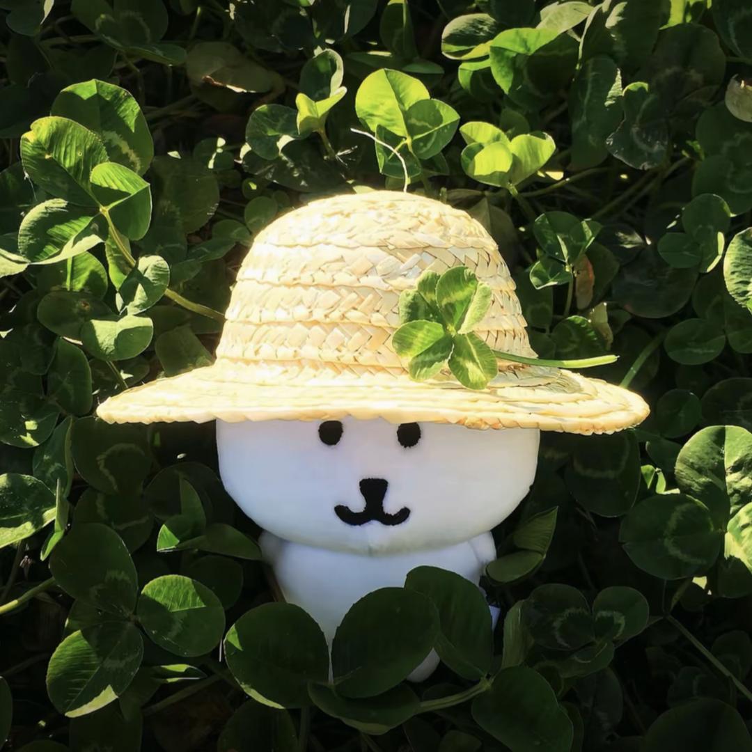 辣椒大王