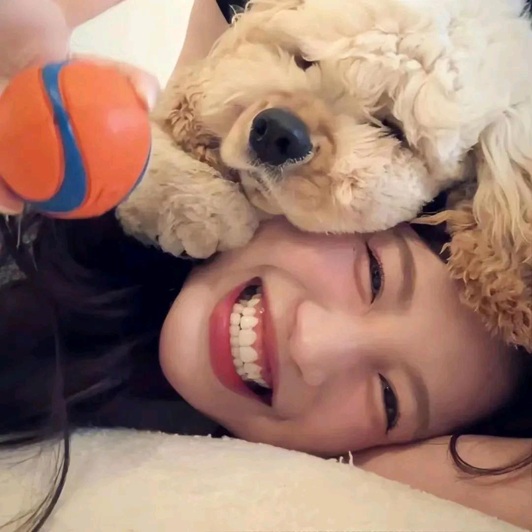 小鱼