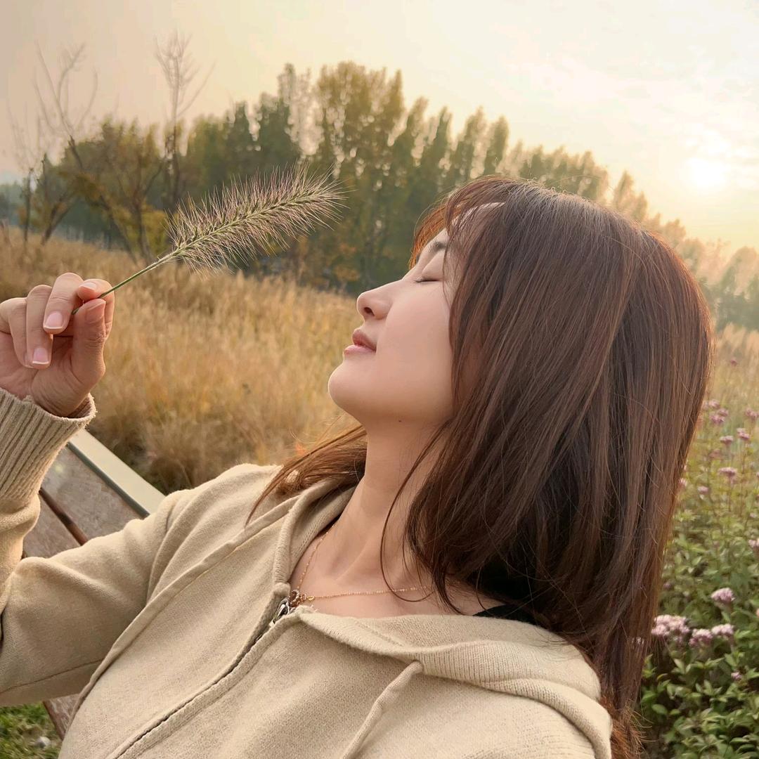 @Y公子