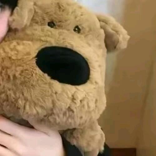 哈哈哈ｆｇ