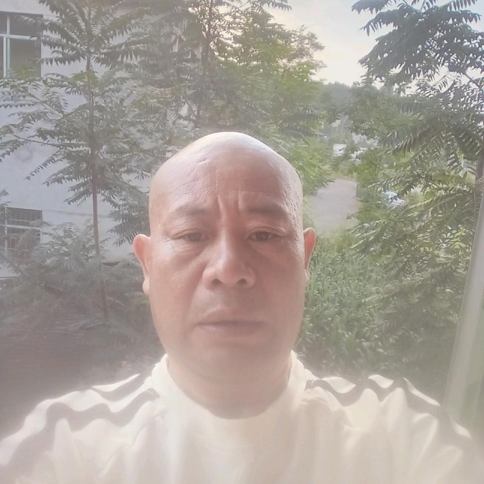老马（早9.11分）