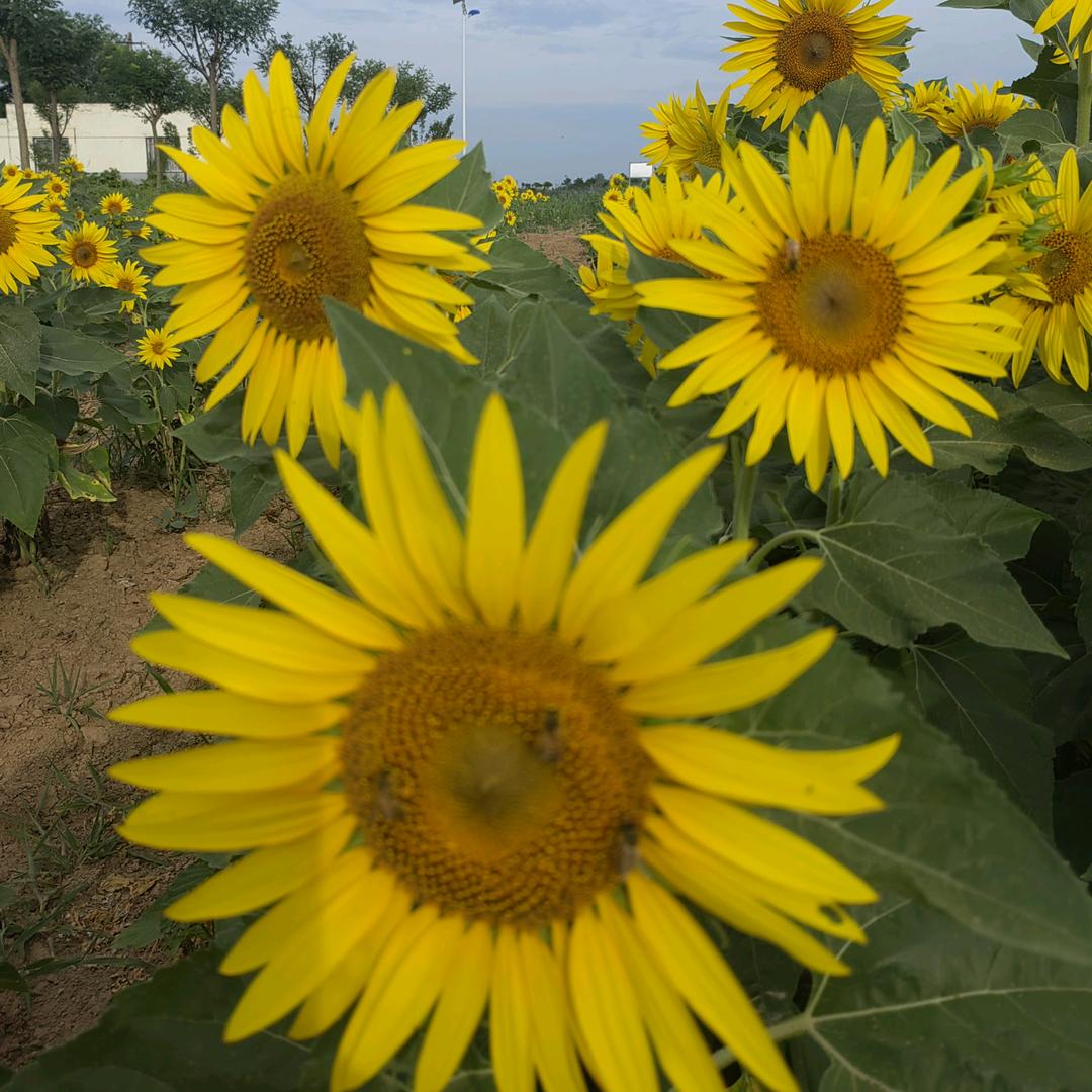 读者书城打工人