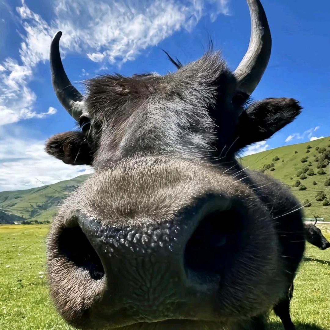 手握日月摘星辰