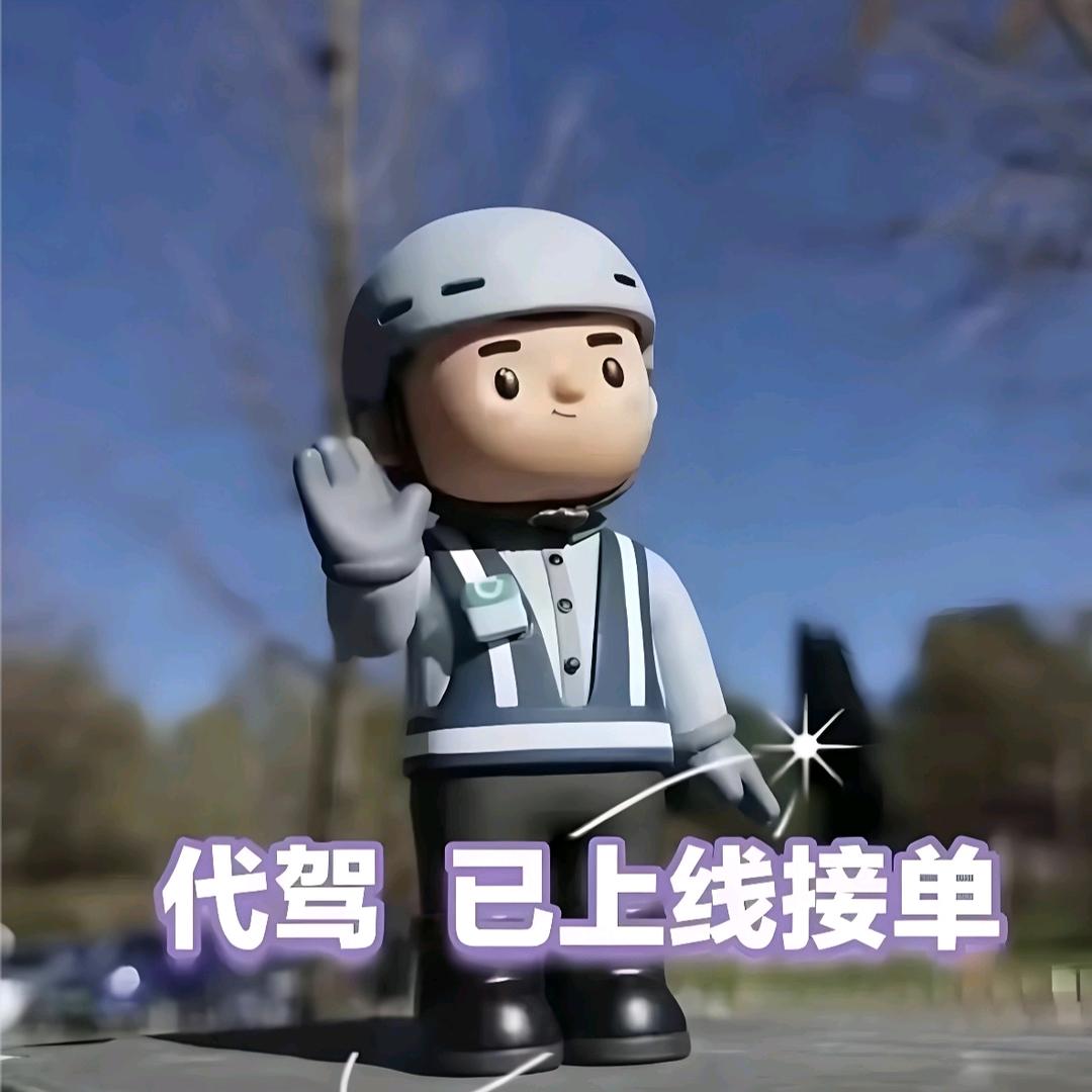 盐山全职代驾，跑腿