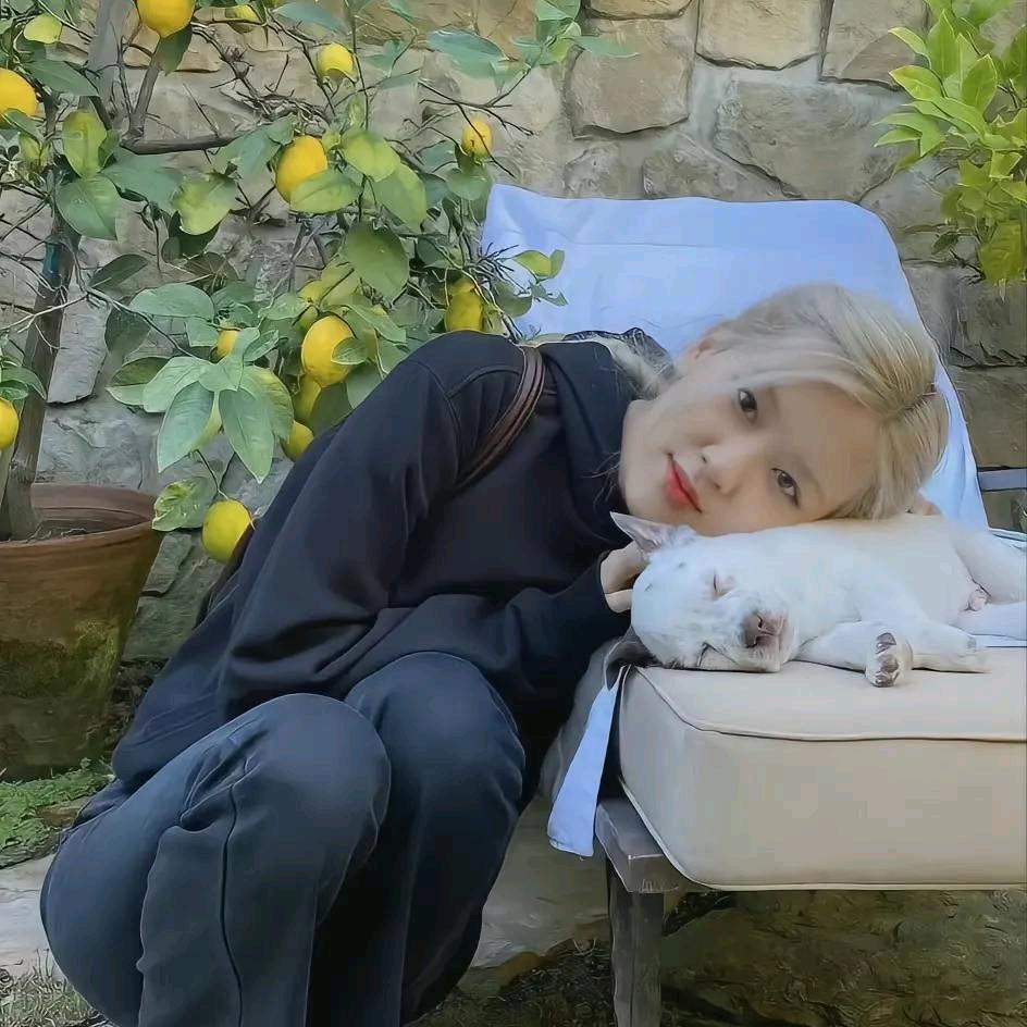🍃央宗✨🍃