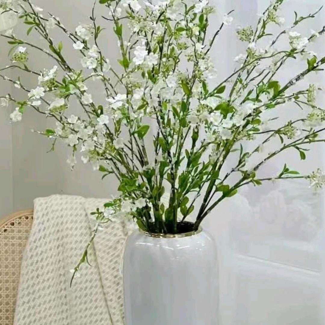 开心果🌻🌺🌸🌷💐💐