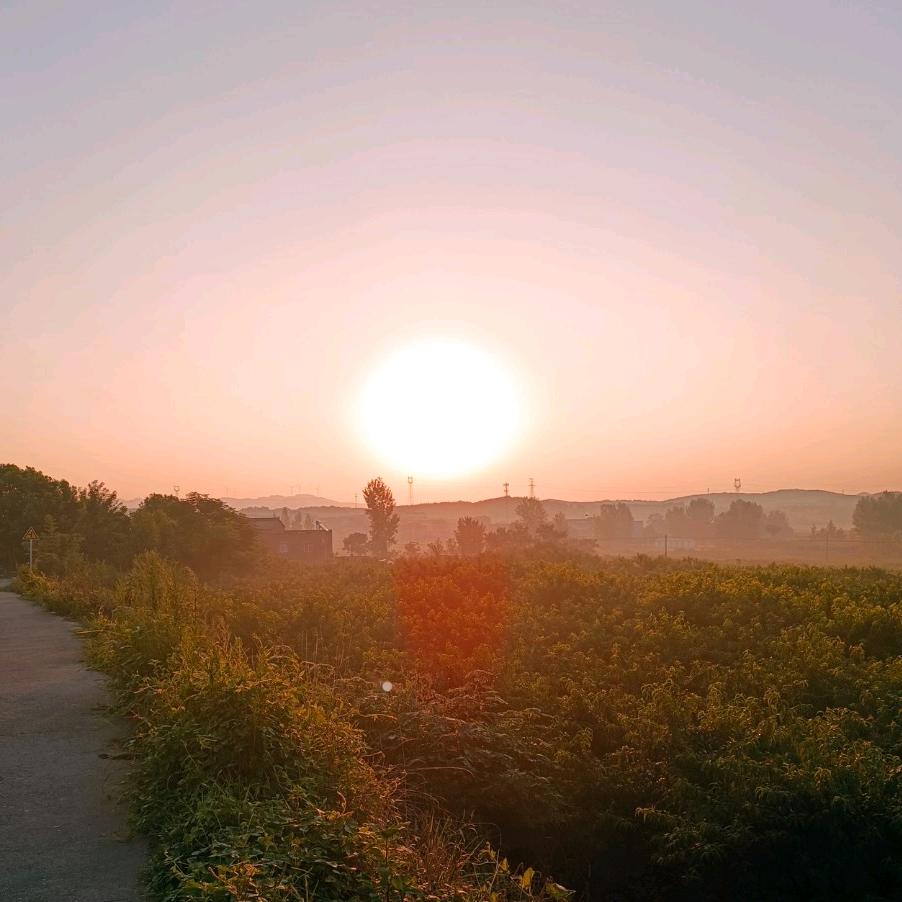《清静》