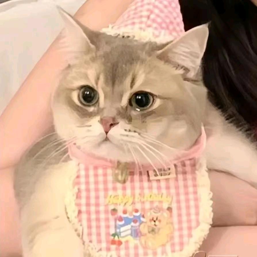 哈哈