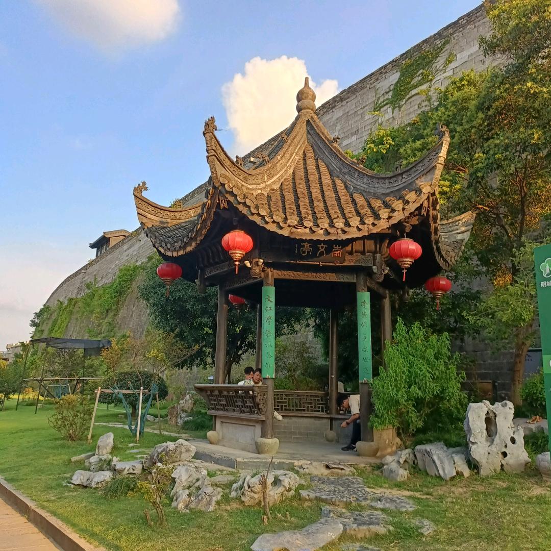 没有得到的爱
