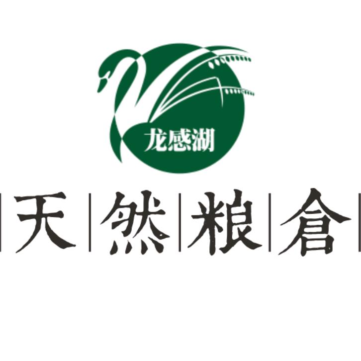 天鹅丝苗