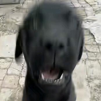 宅守者