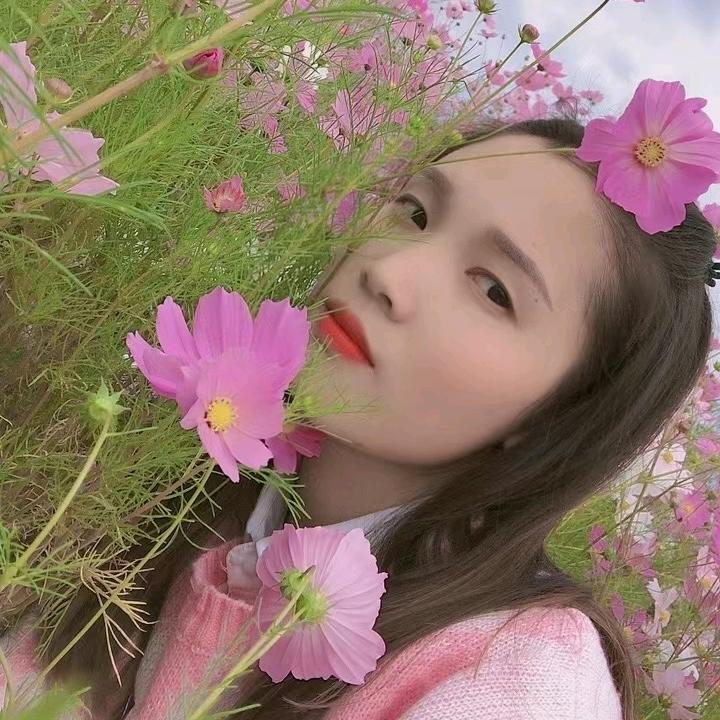 柒年