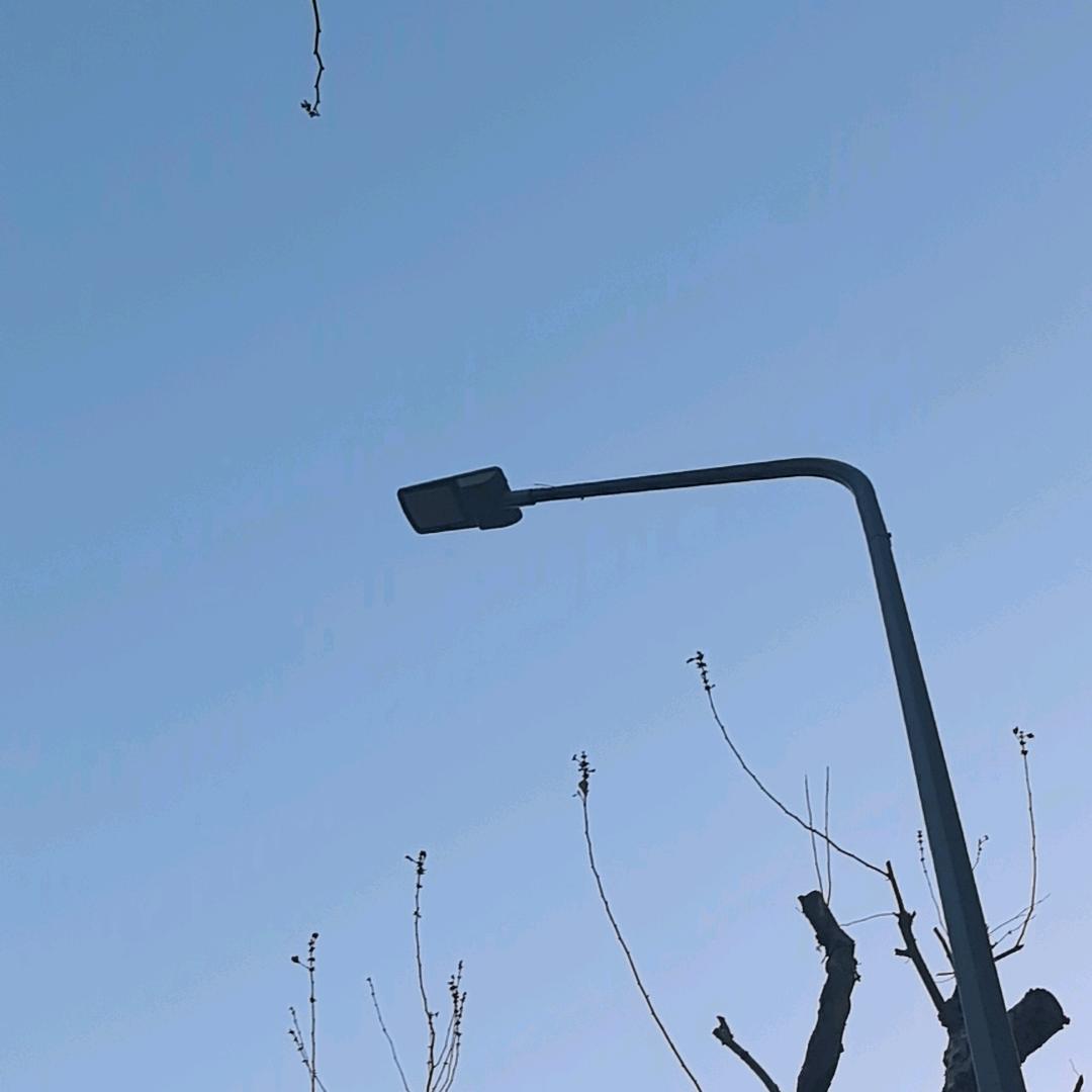 咬钩了你都不拉线