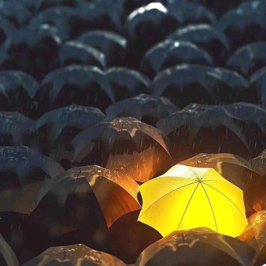 听风起雨落头像