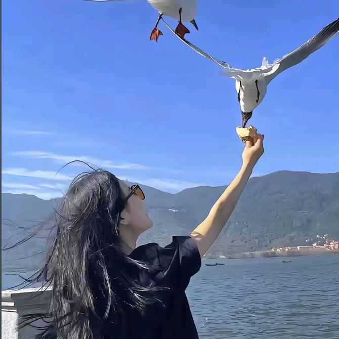只想睡个好觉