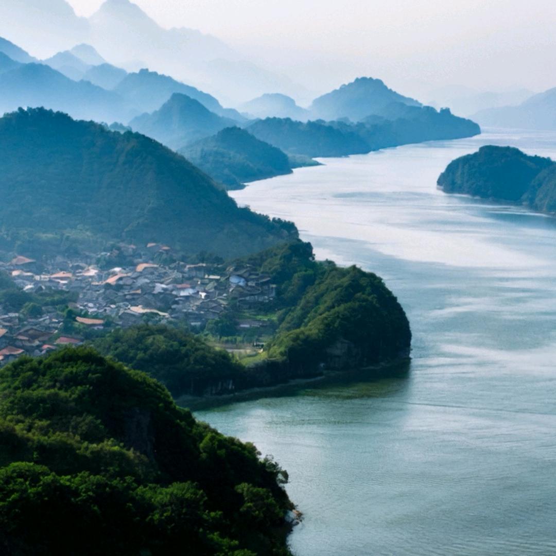 蔡兴洲