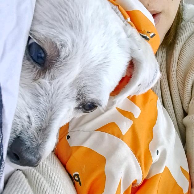 write