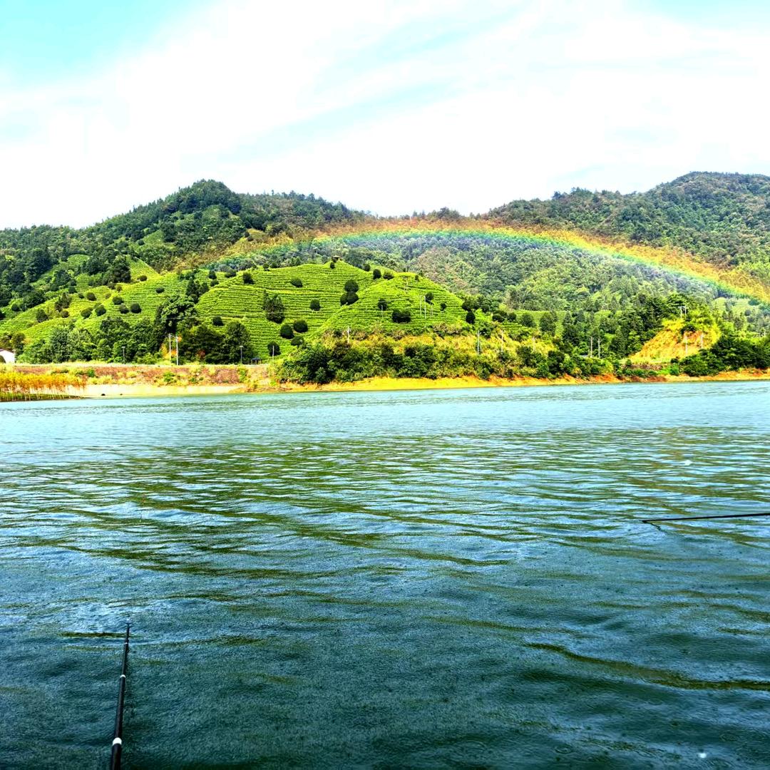 ᭄余生ᝰᩚ随心ꦿ