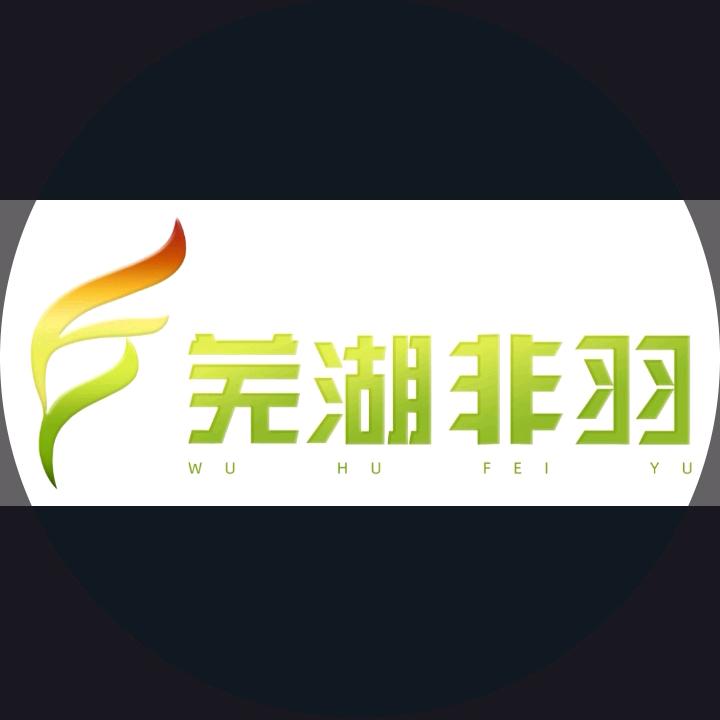 芜湖非羽信息技术有限公司