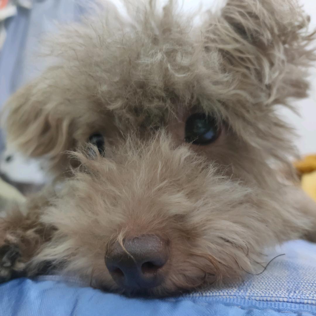是小凯呀