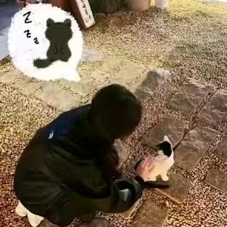生气不理人