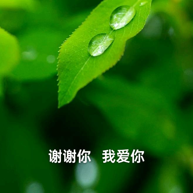 链接美好