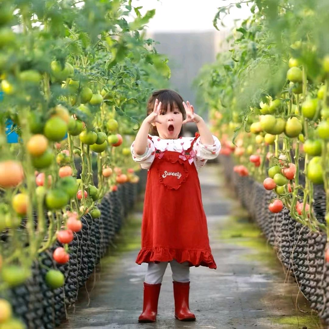 鹊实有好稿儿