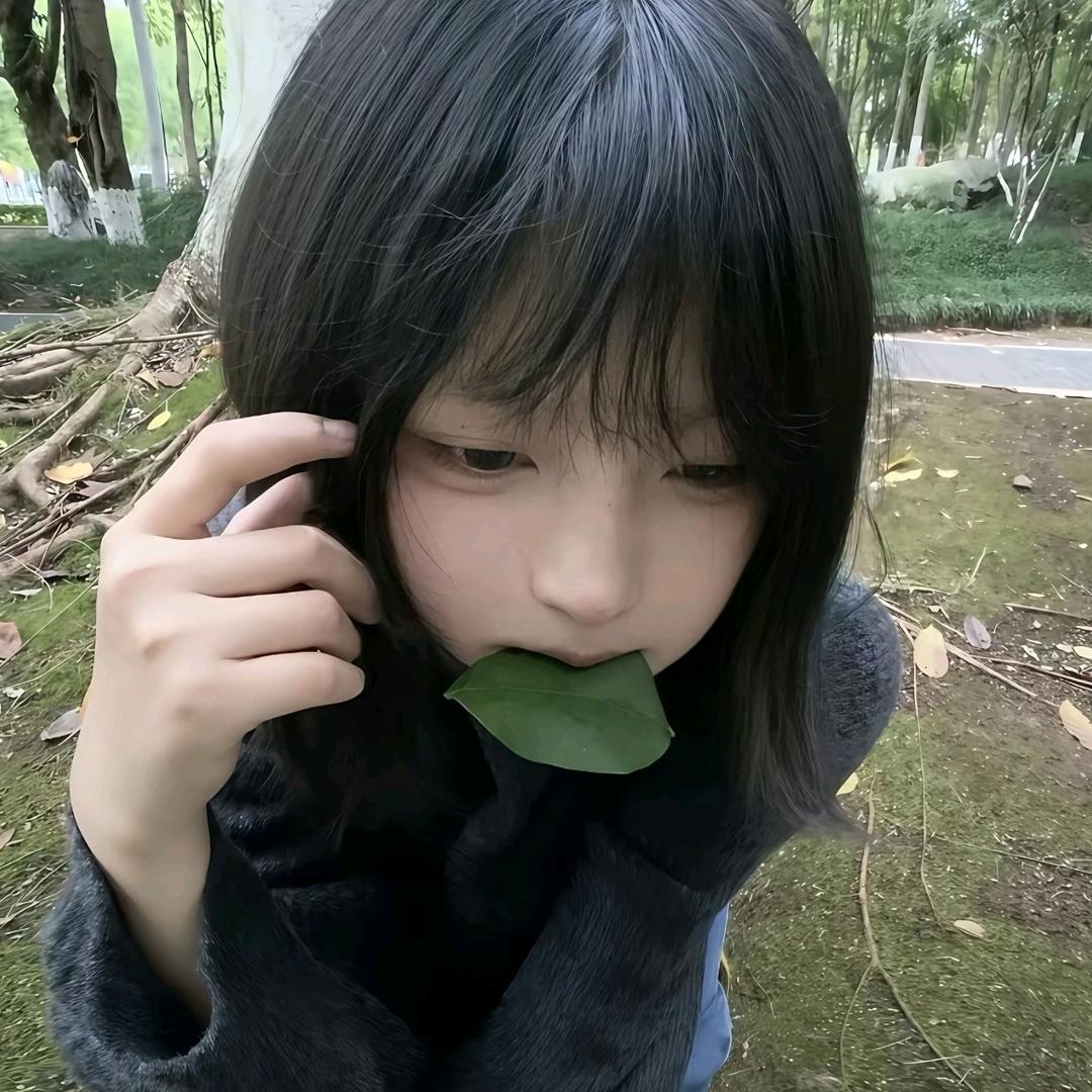 柏辞.🍀🥣