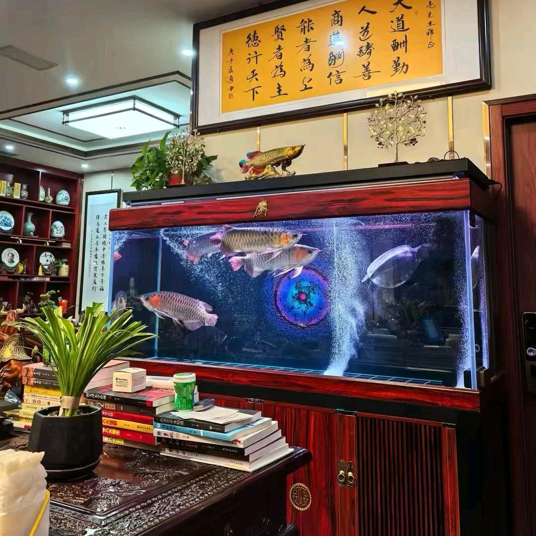 小丑吖