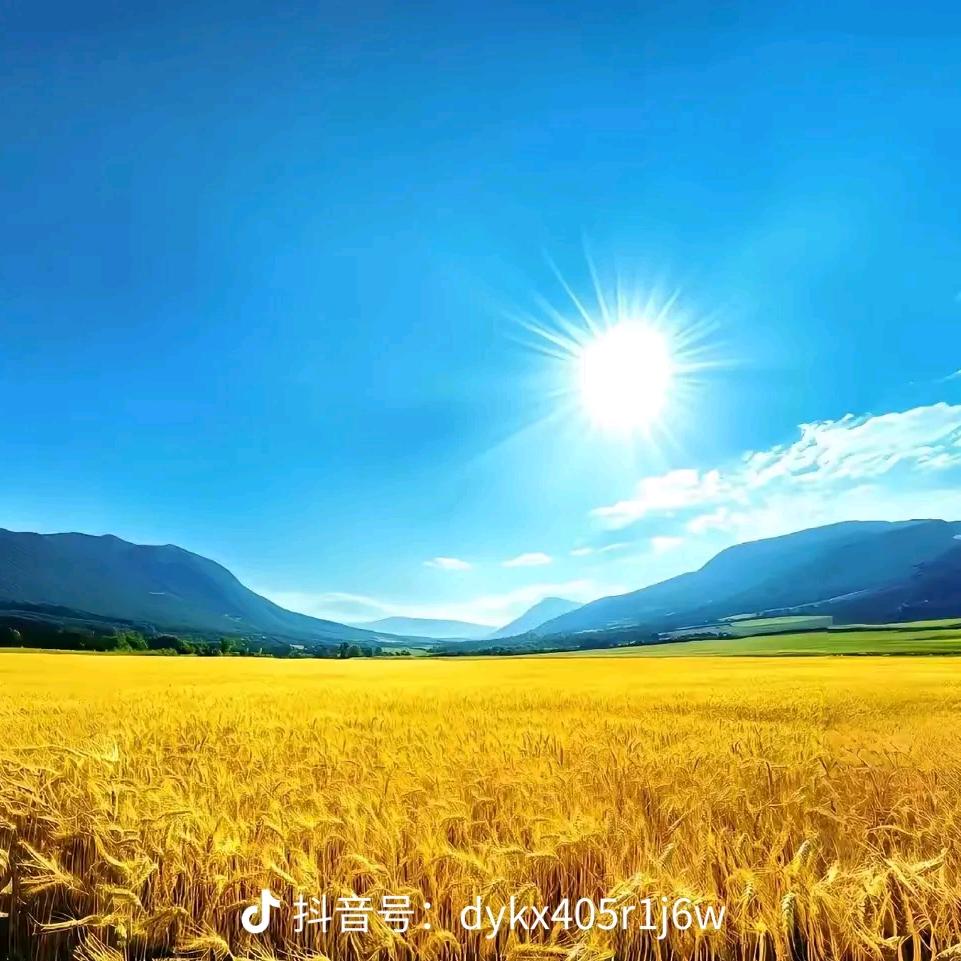 杨帆启航
