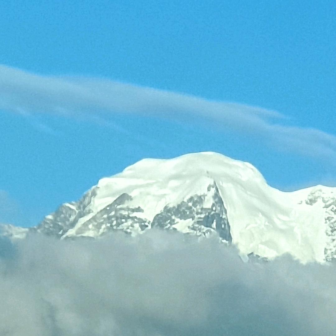 @虎行天下🐯🐯🐯🐯