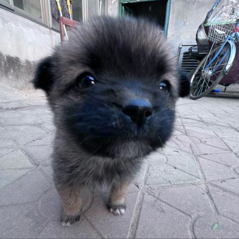 aw