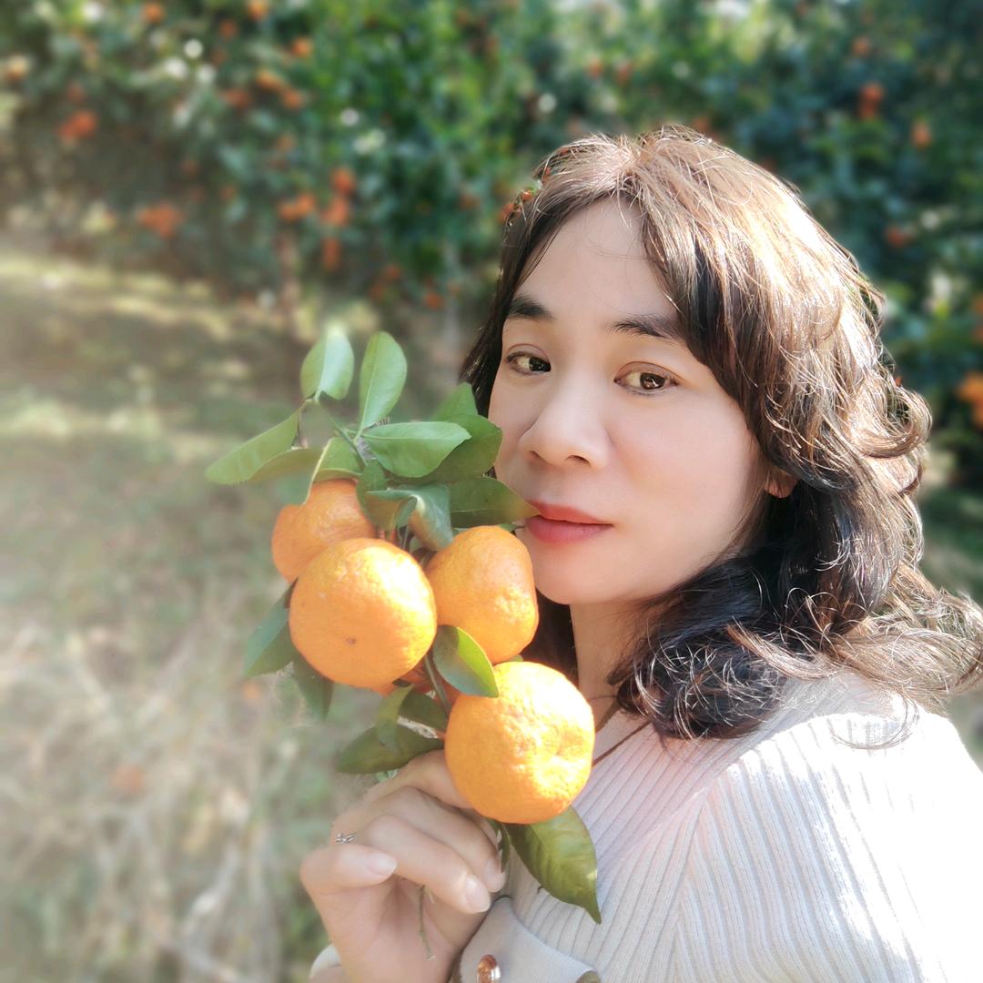 晓樱子
