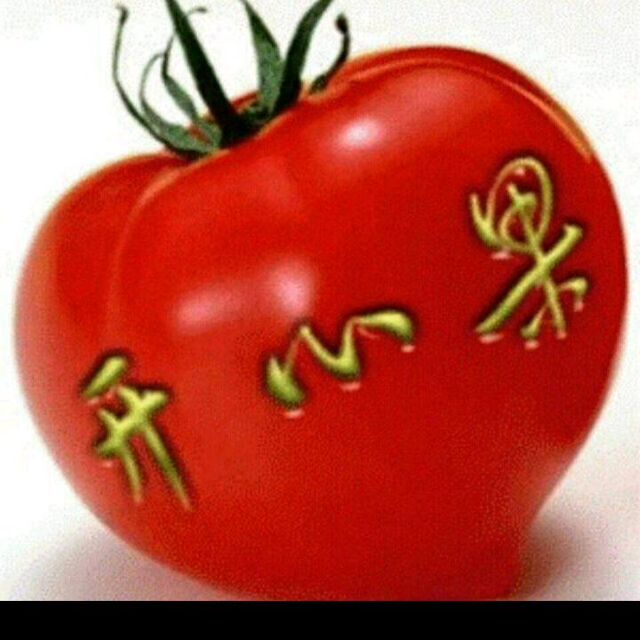 鄂京雁熊杨