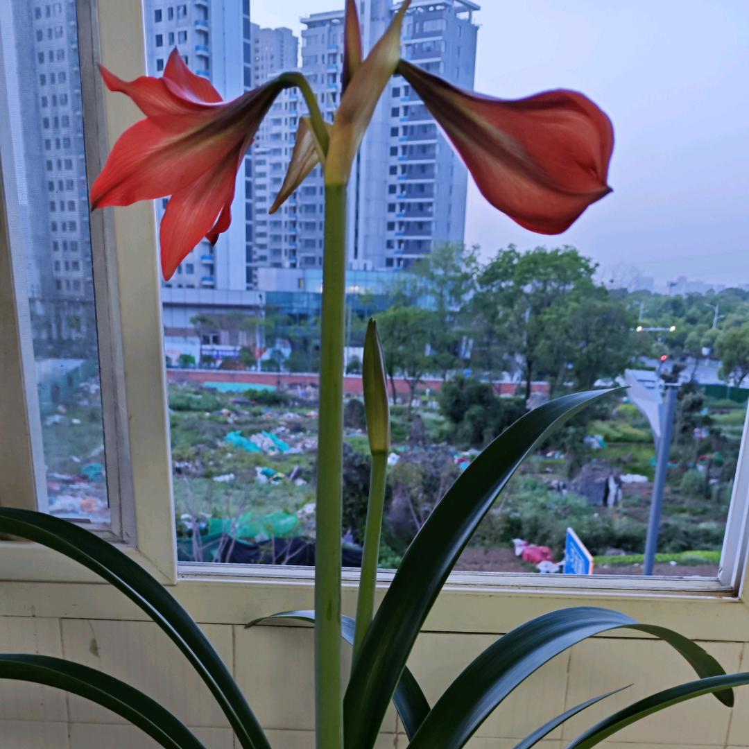 一切会好
